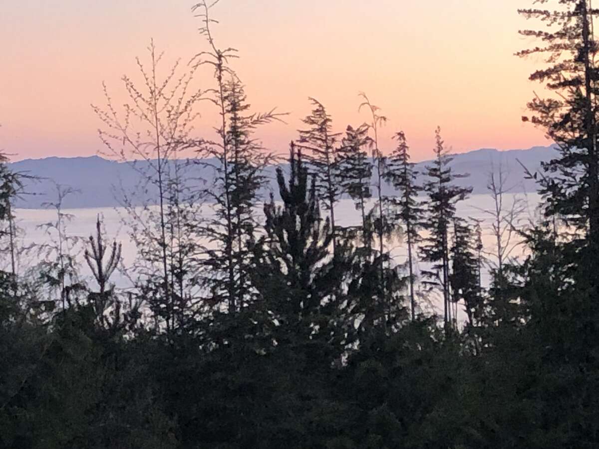 80 Acres with Ocean Views